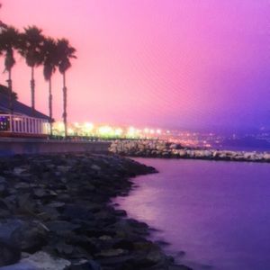 Meet your Posher, Bailey